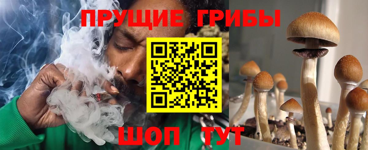 Галлюциногенные грибы Psilocybe Заволжье